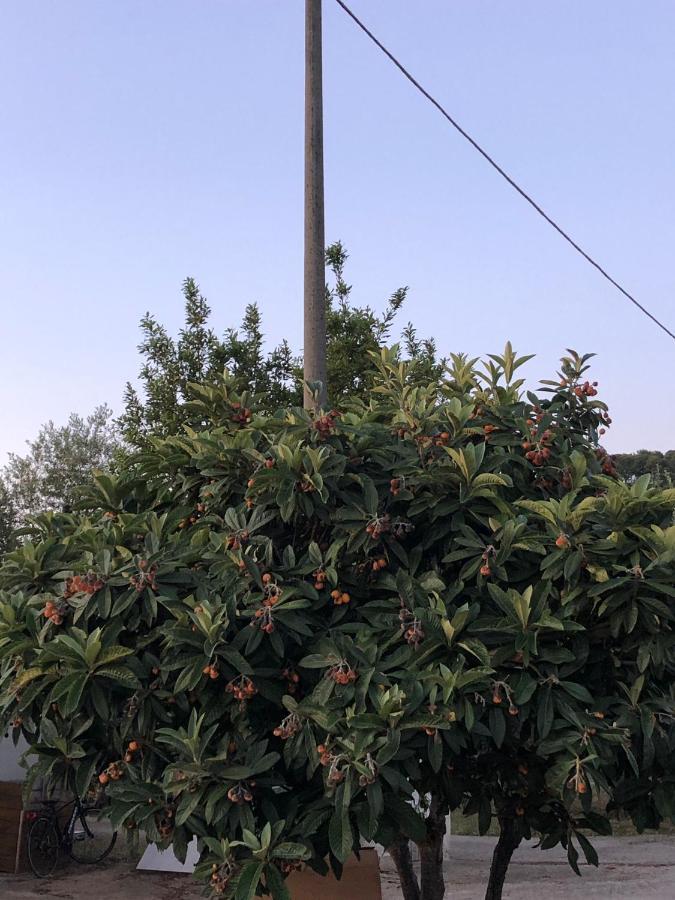 Appartamenti Jessica بيسْكيتْشّي المظهر الخارجي الصورة